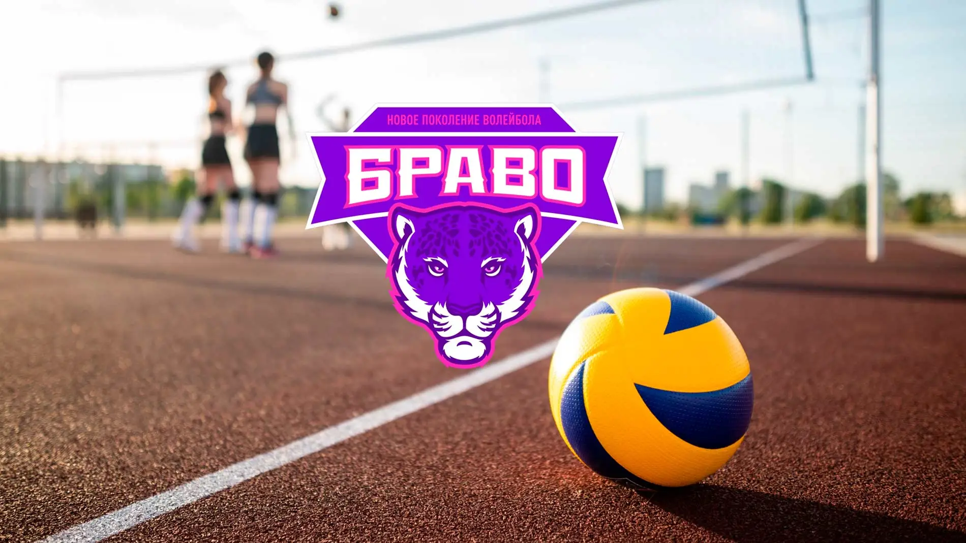 volleyball NSK.webp