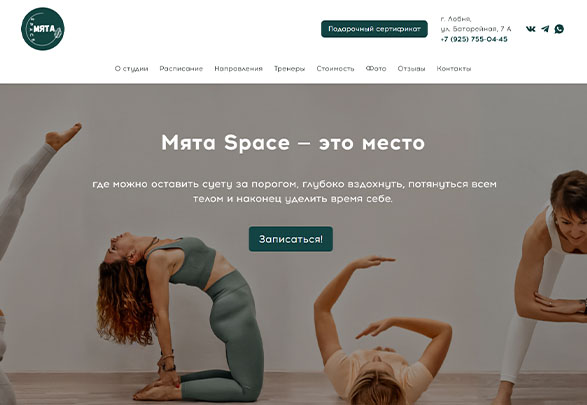 Мята Space.jpg